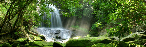 www.ideal.theultimatecloth.com EcoFriendly page